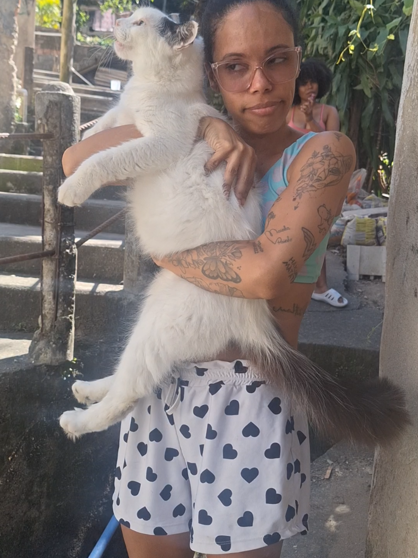 @Paloma Machado865