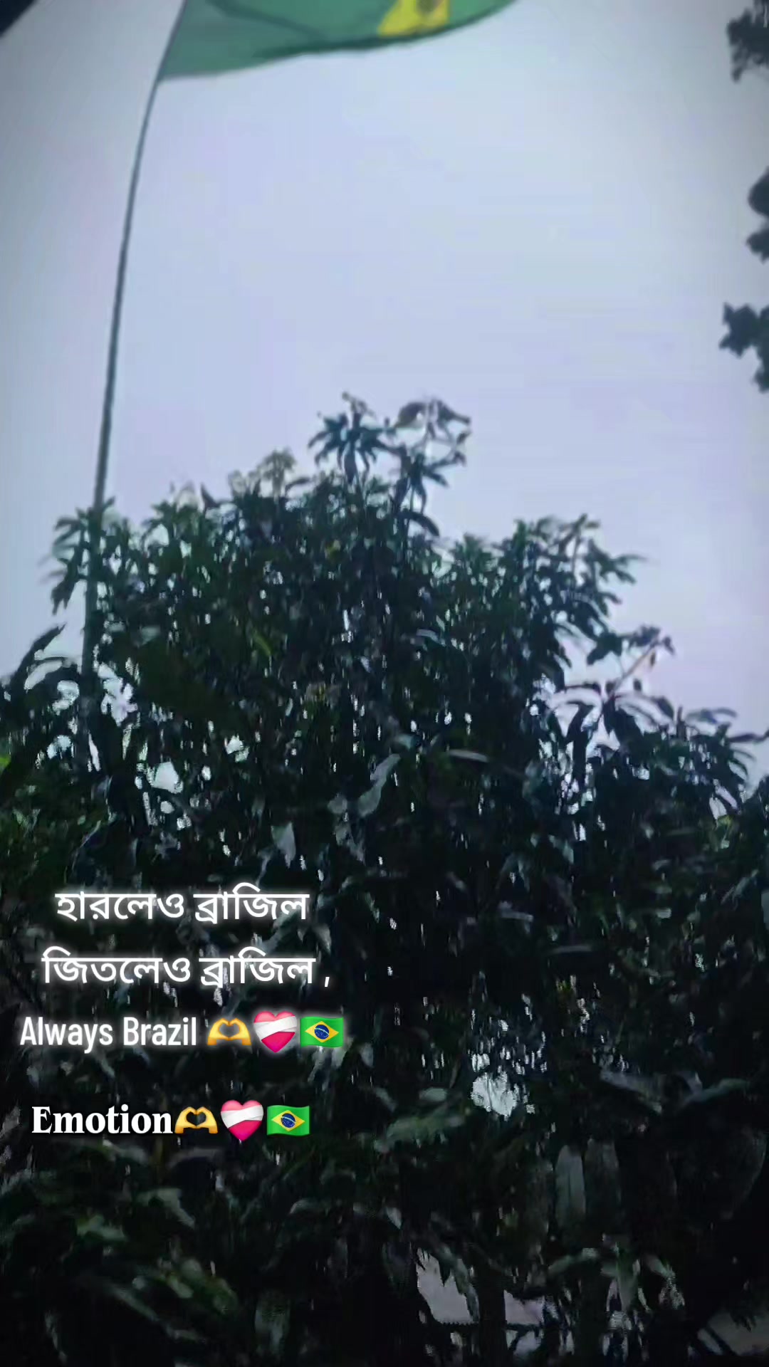 @&times;&ordm;Ⱥlamเή&ordm;&times;🦋☂️