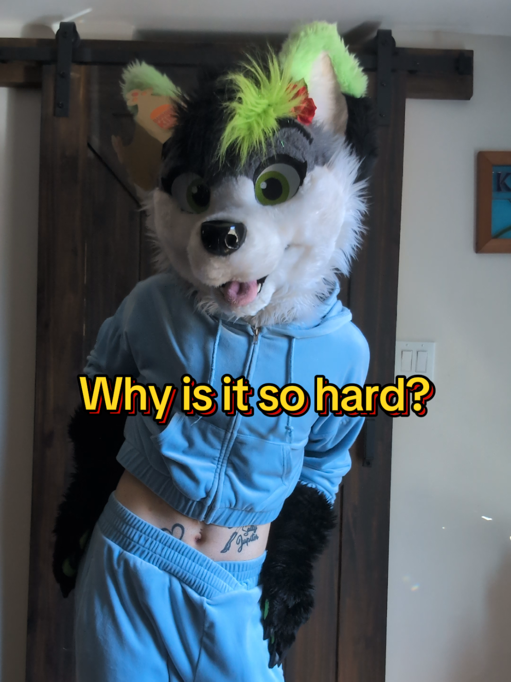 @Firefly Wolfy
