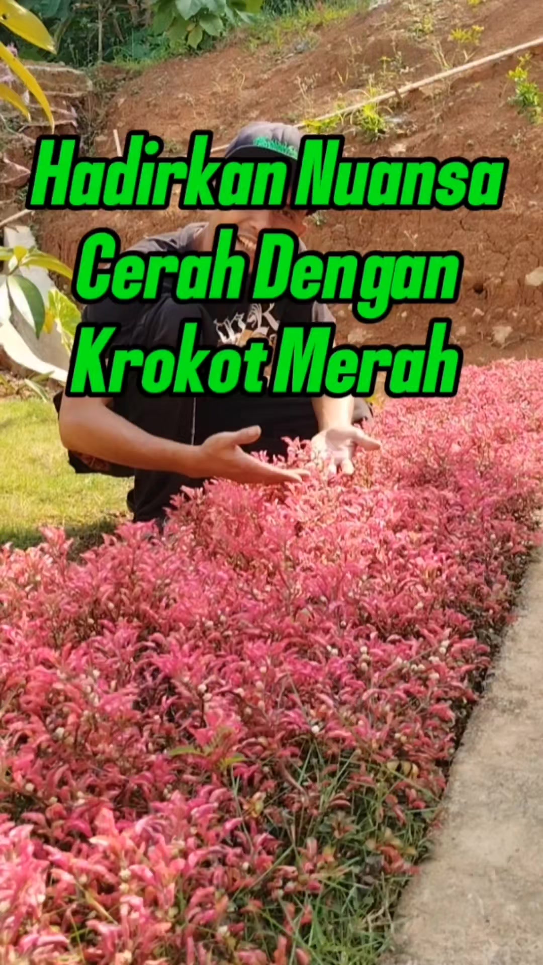 @Bukit Farming