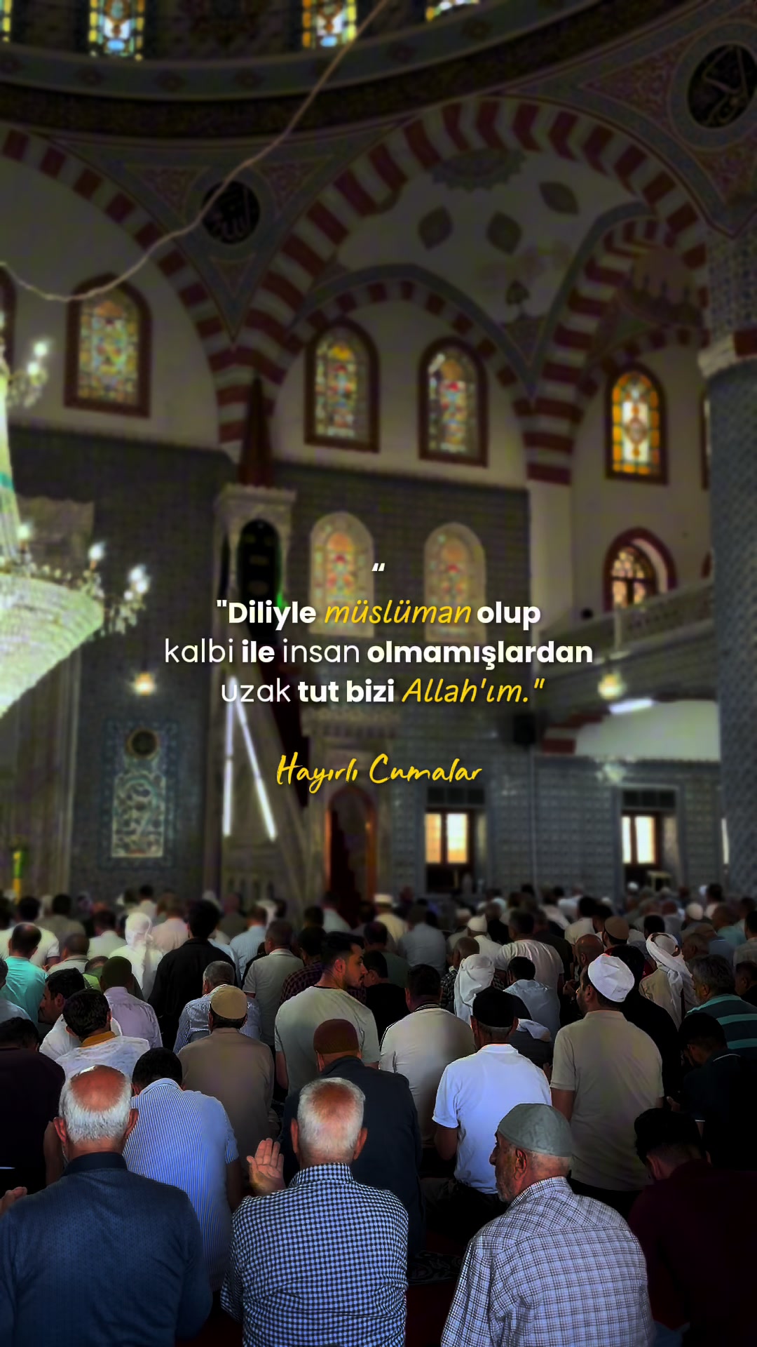 @MehmetDOGAN