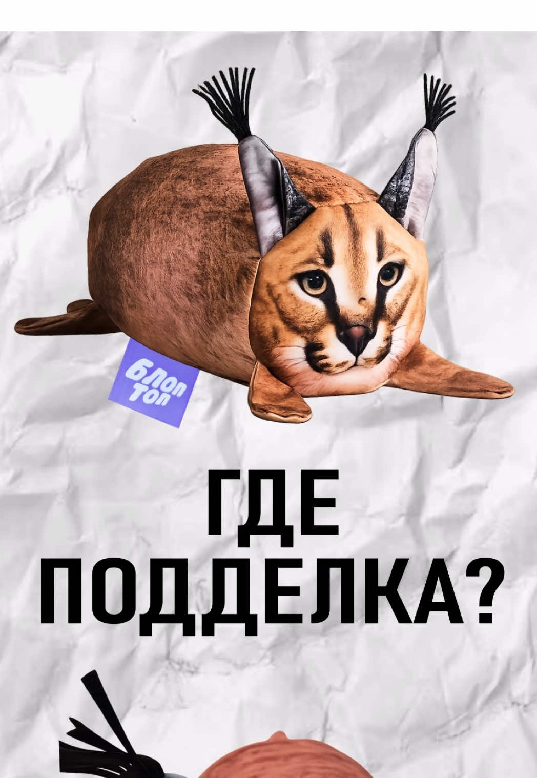 @БЛОПТОП