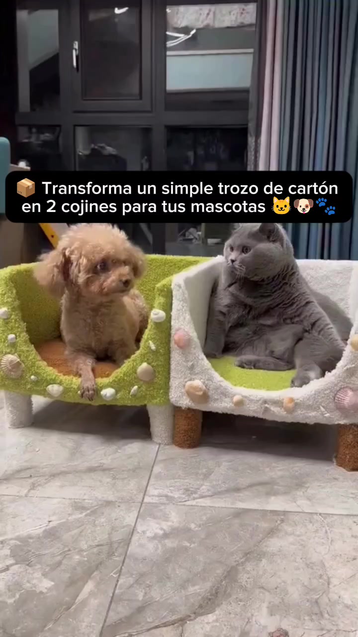 @Todo Mascotas 🐾🎓