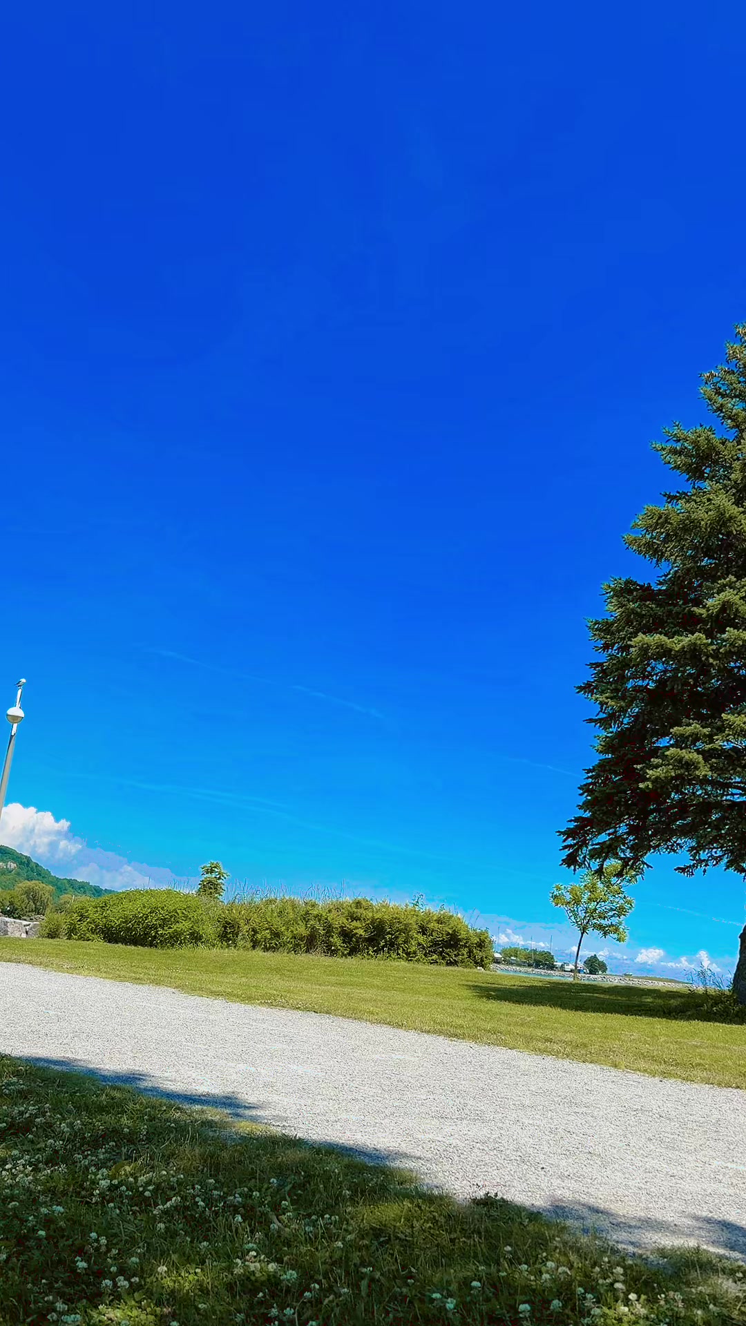@CEO TikTok 🇨🇦