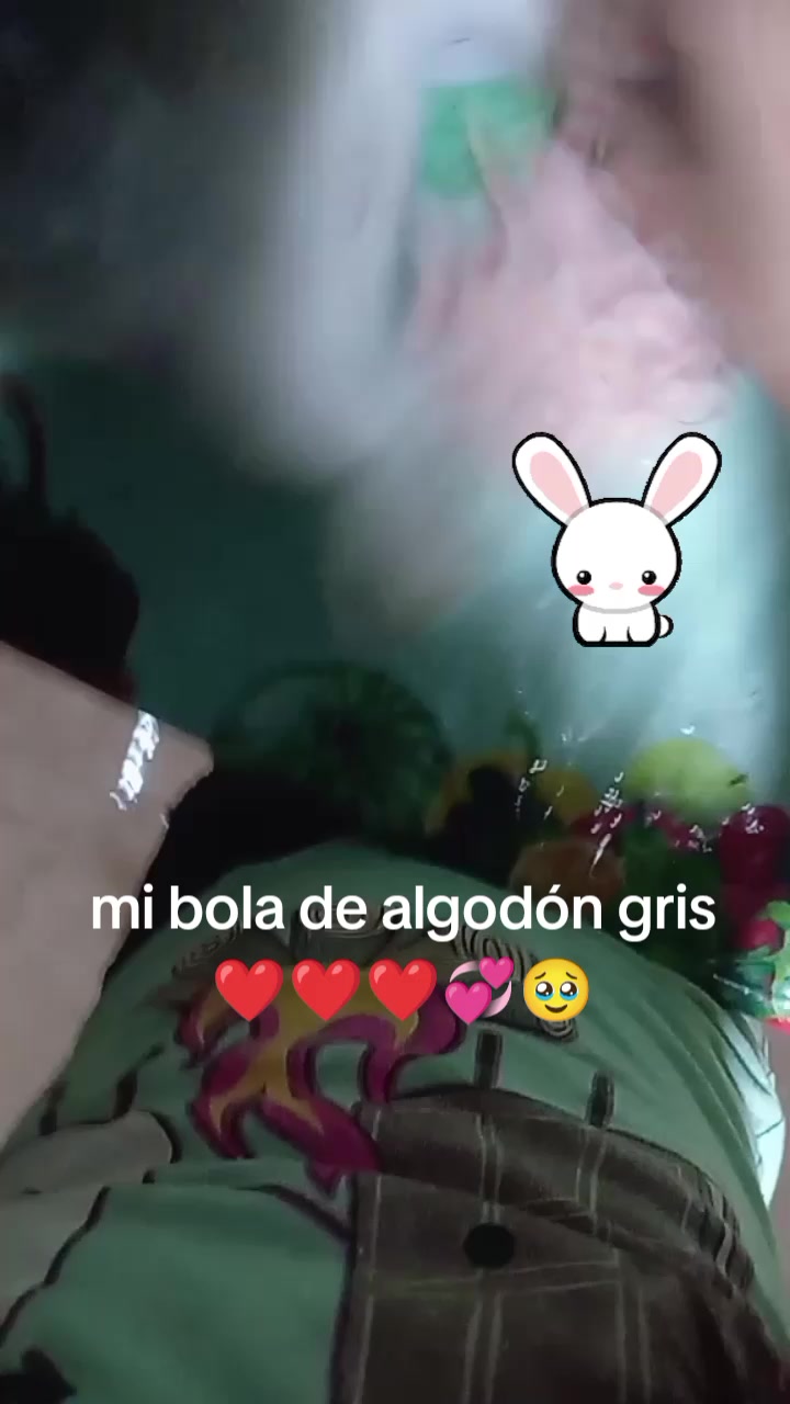 @Lia Mejia