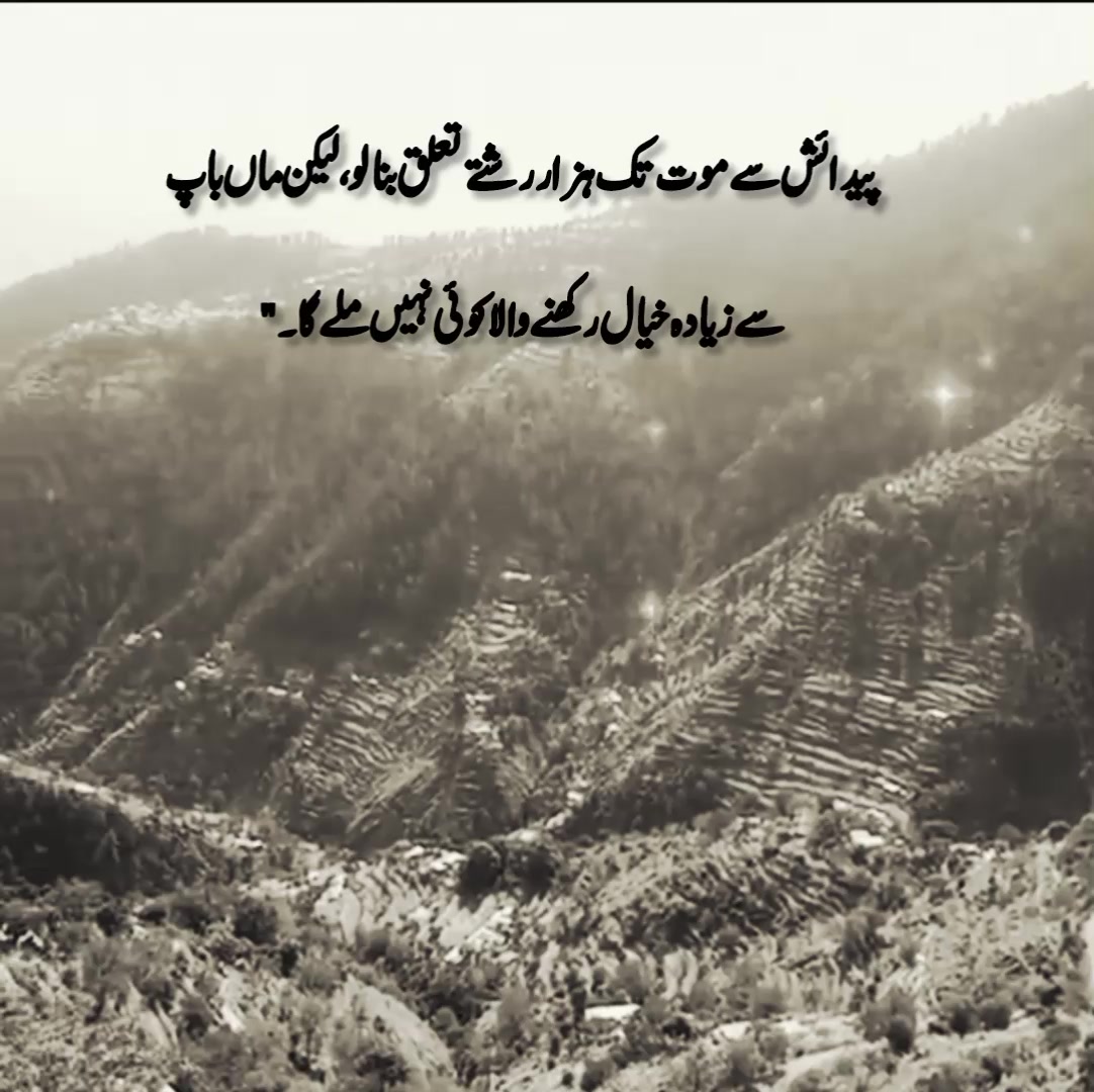 @🦅کشمیری رائٹس 🍁(◕‿-)