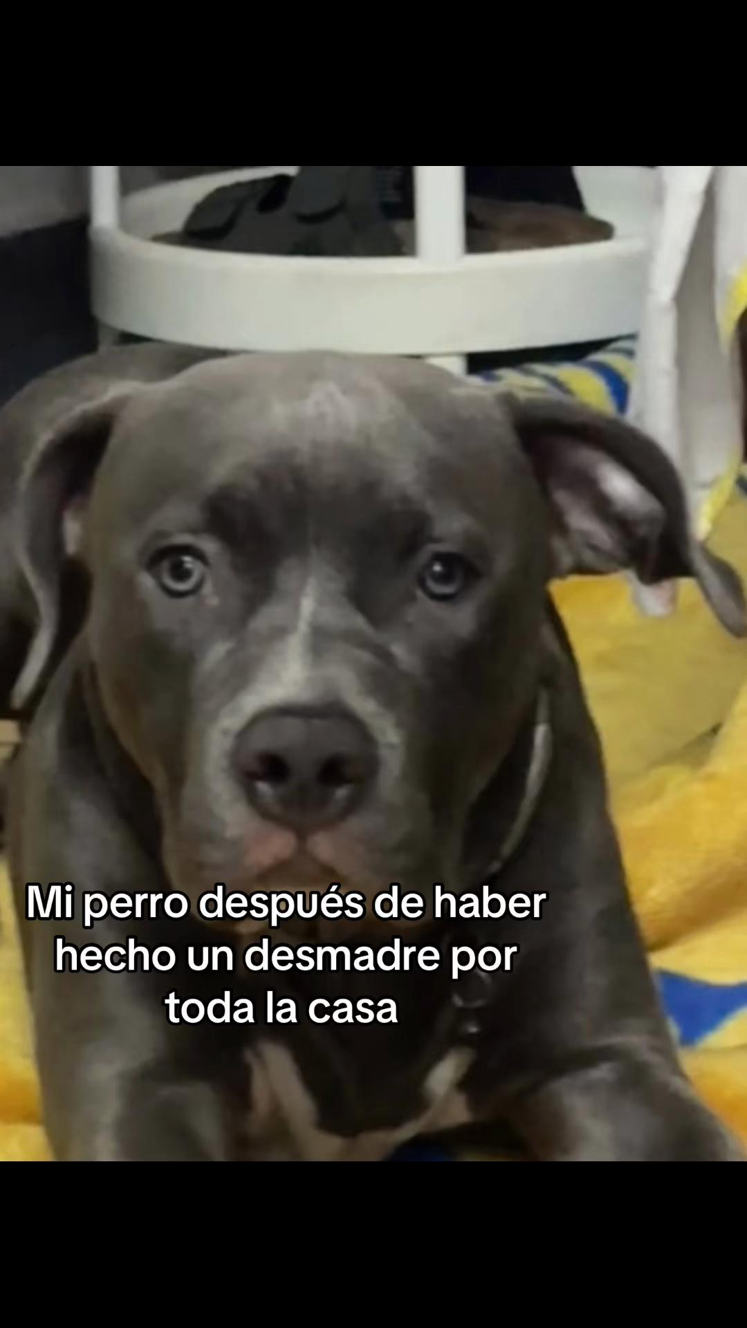 @Liz nava