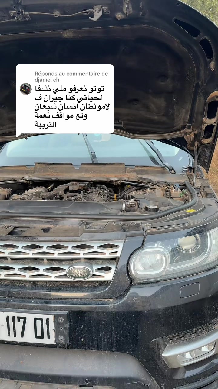 @toutou rangerover