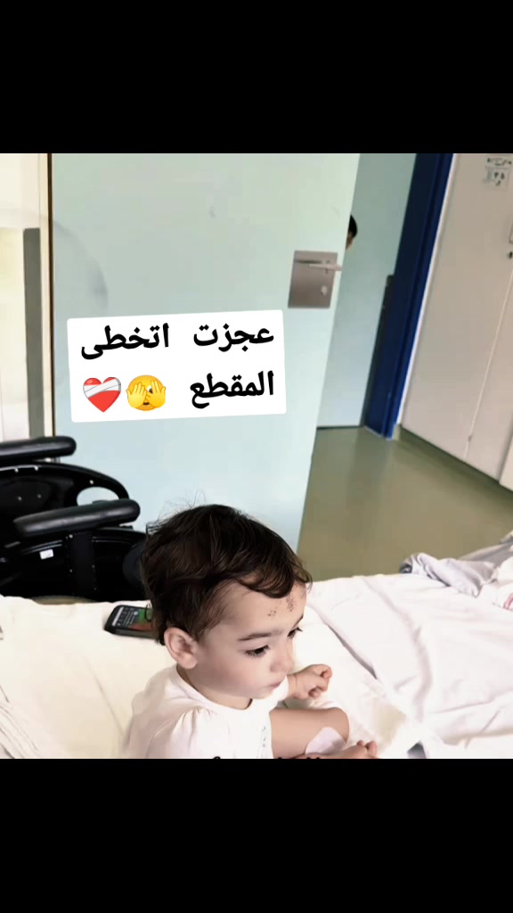 @hamzh