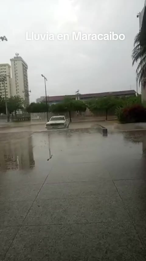 @Maracaibo Mollejuo
