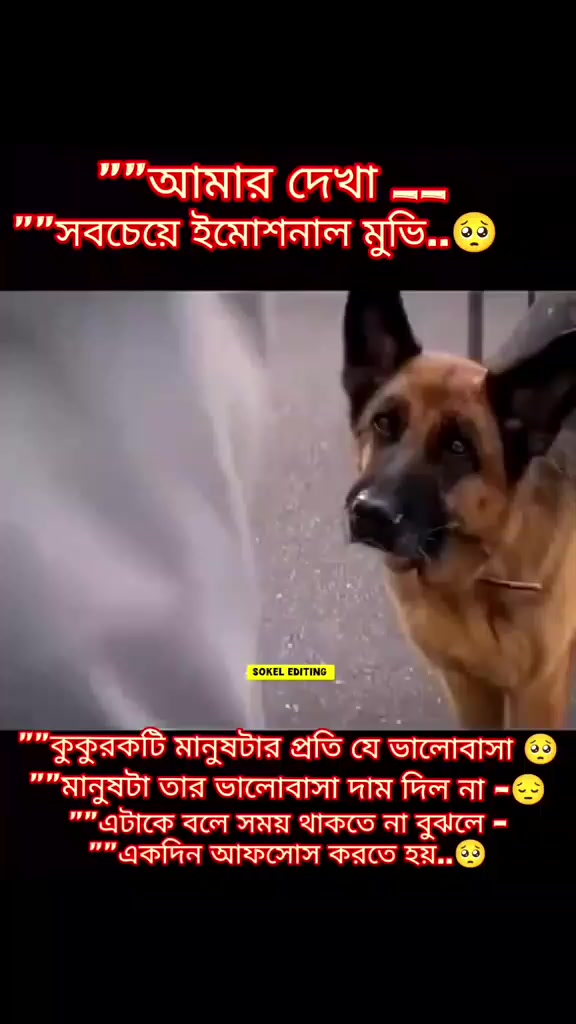 @monir
