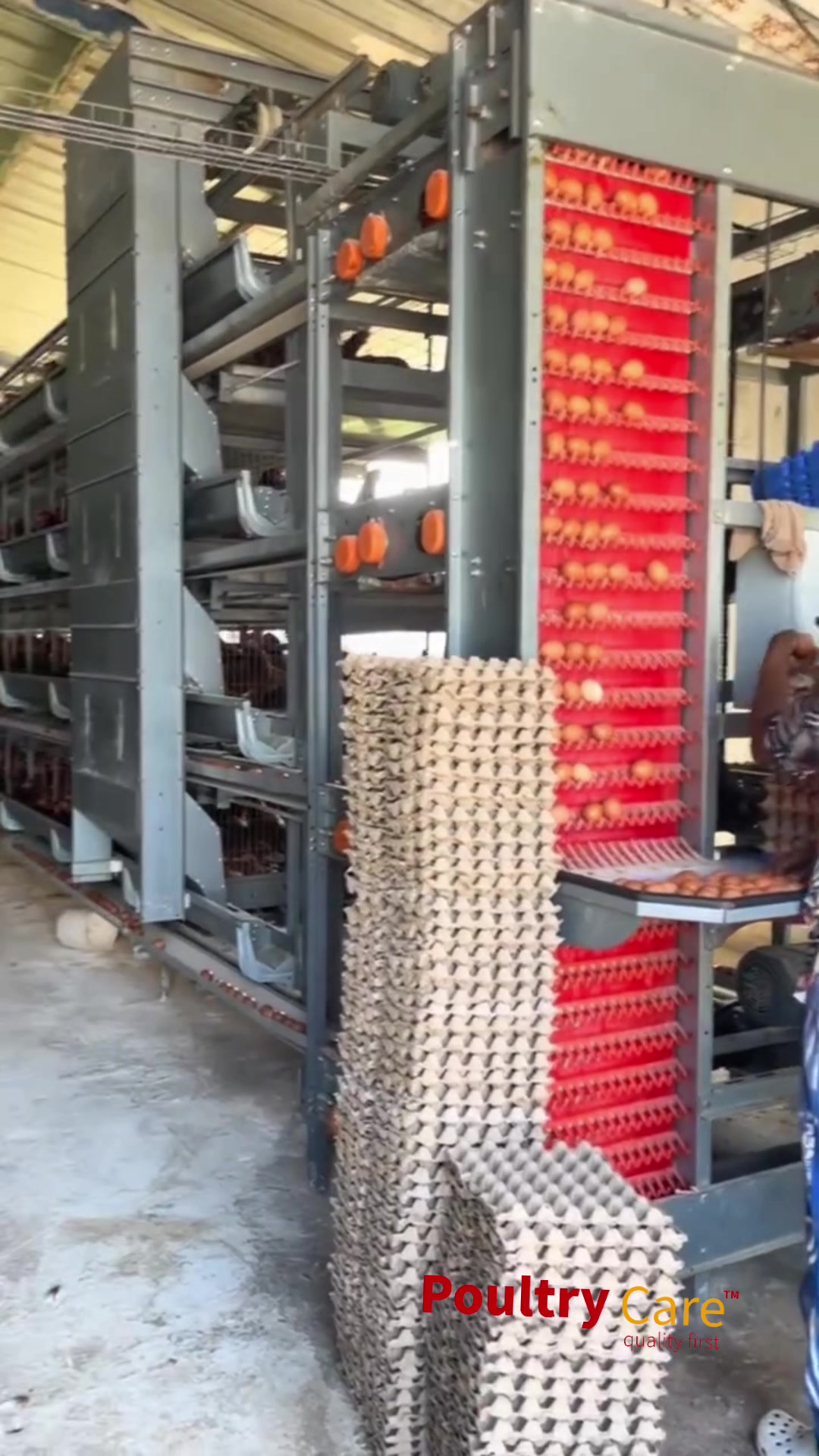 @Poultry Care