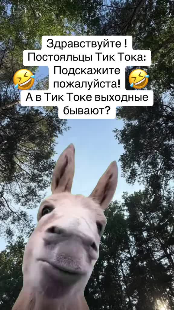 @Тёма