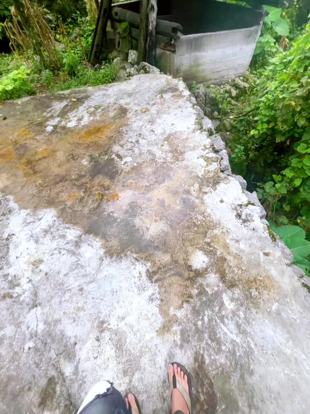 @LÍU 🇻🇳☣️