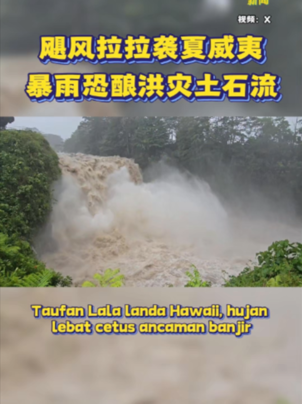 @中国报