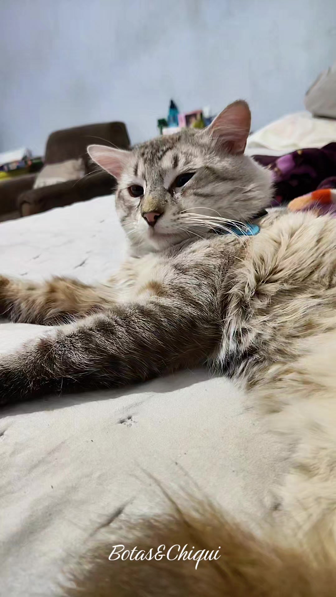 @Onda/Felina