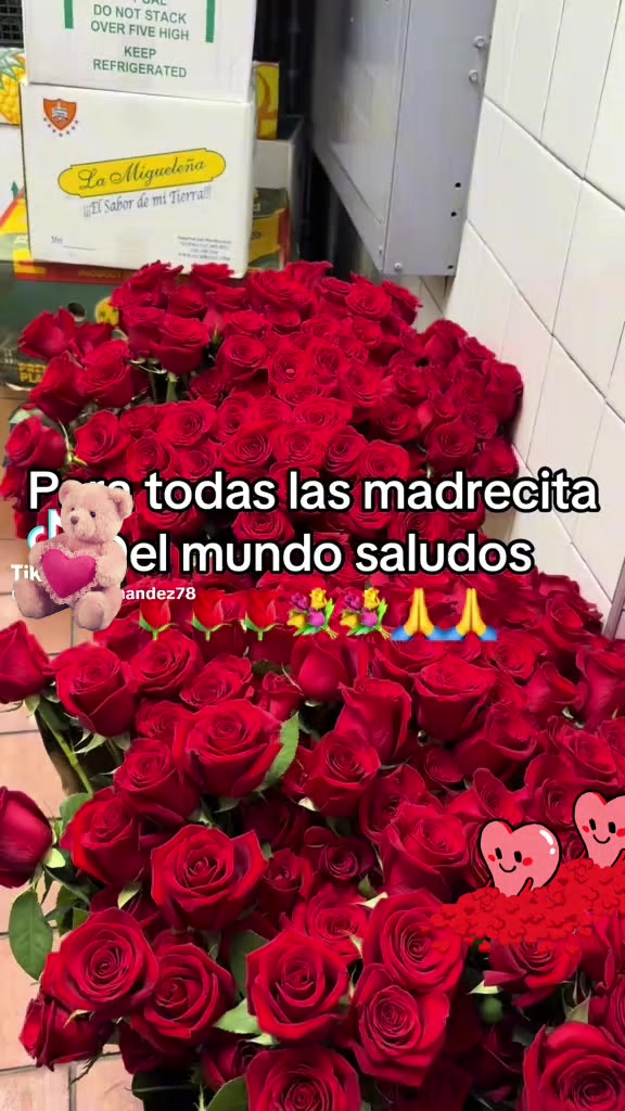 @conrrado Vásquez