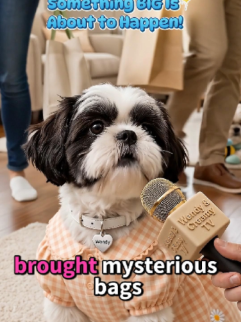 @Wendy and Creamy