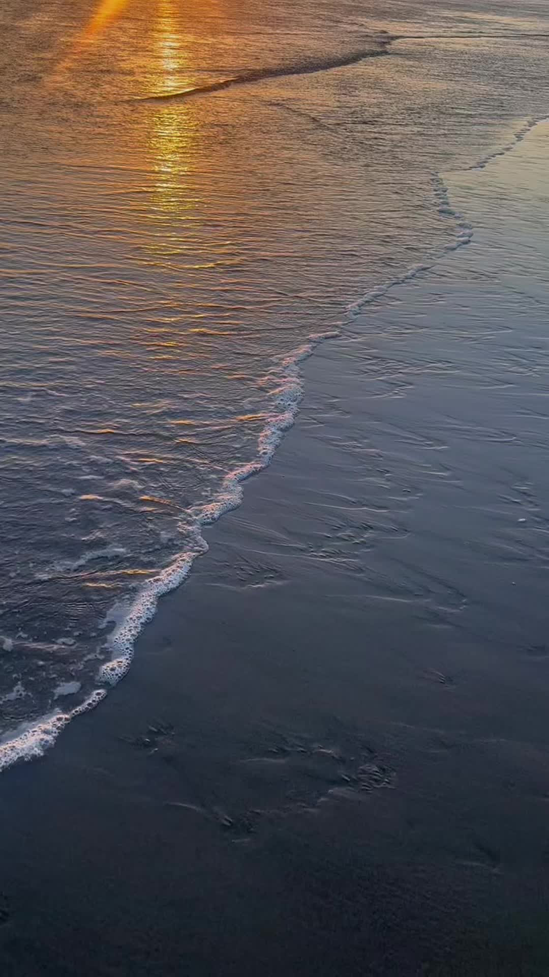 @Ness メ𝟶