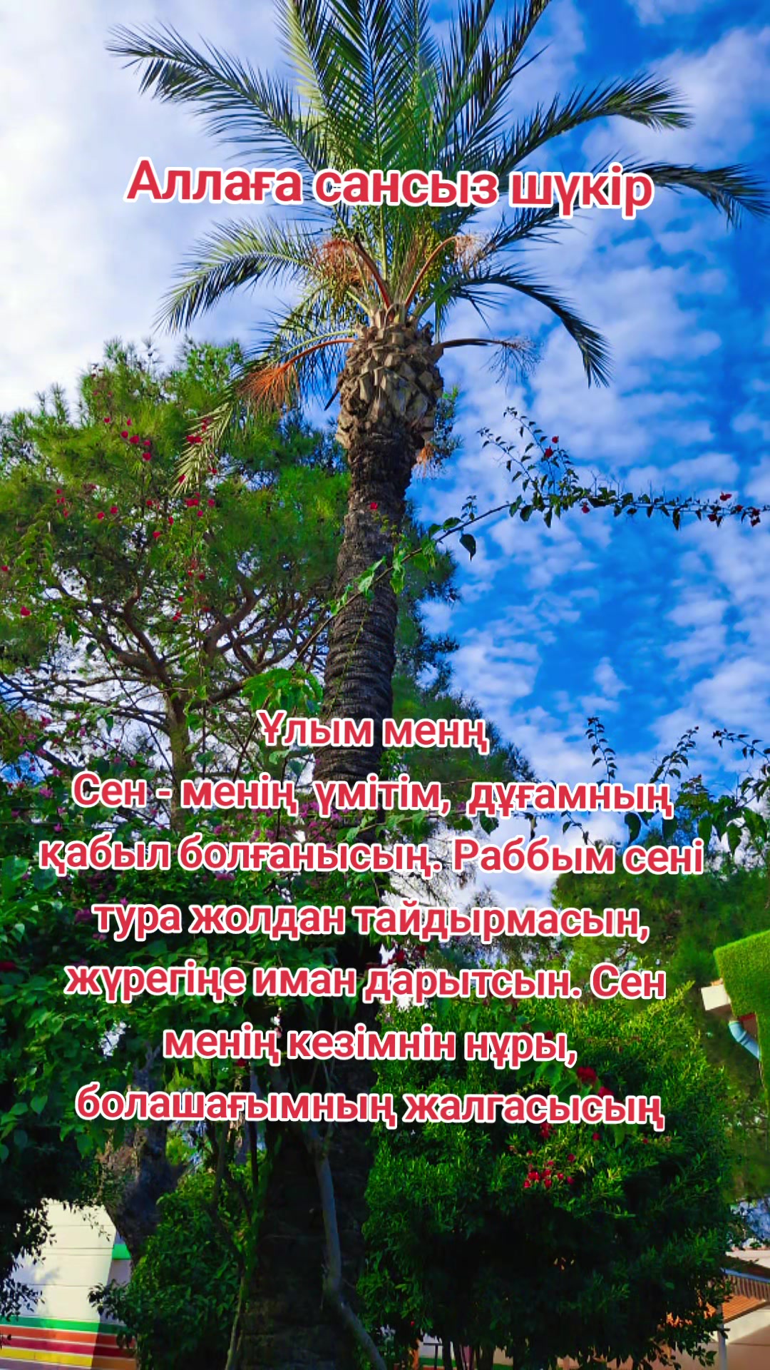 @Nuripa
