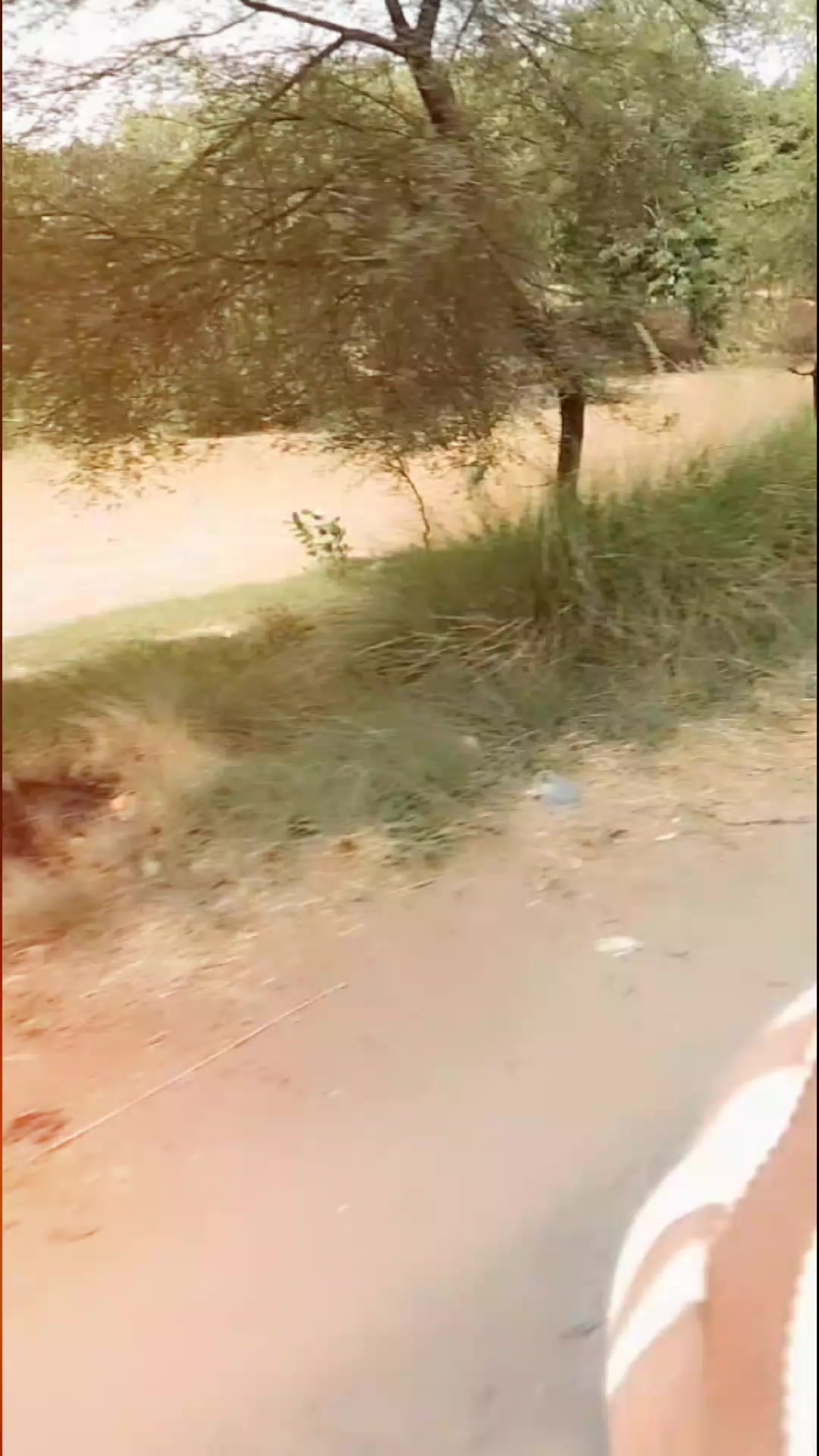@🍂کملی 🍂