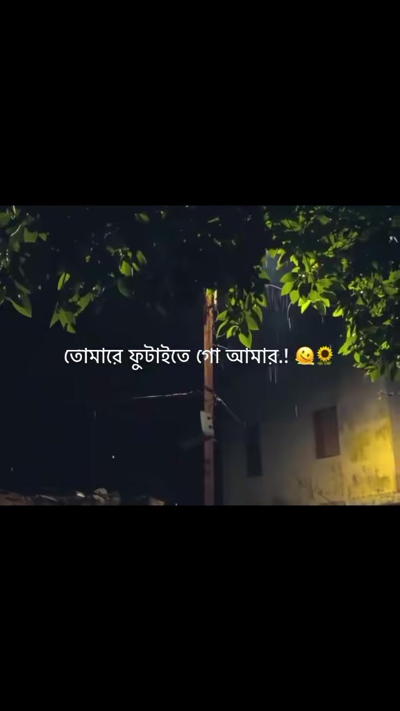 @রফিকুল ইসলাম তুষার  কিশোরগঞ্জ