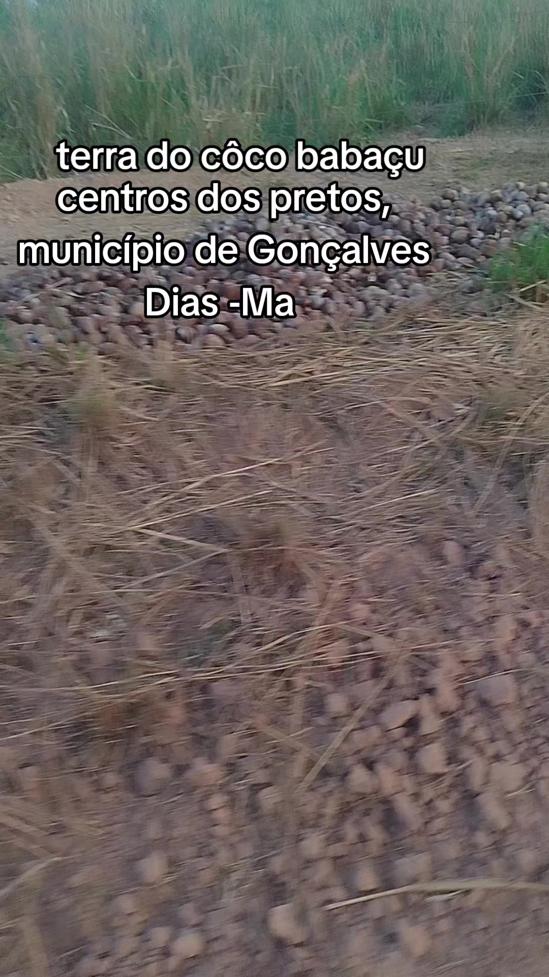 @Mauricelia Sousa 🌻💟