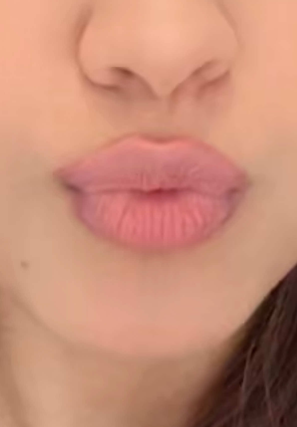 @elani muller