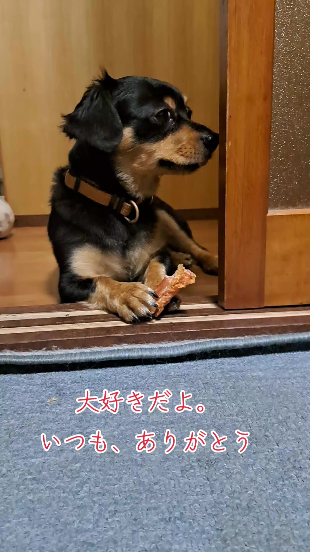 @タケヤッコ