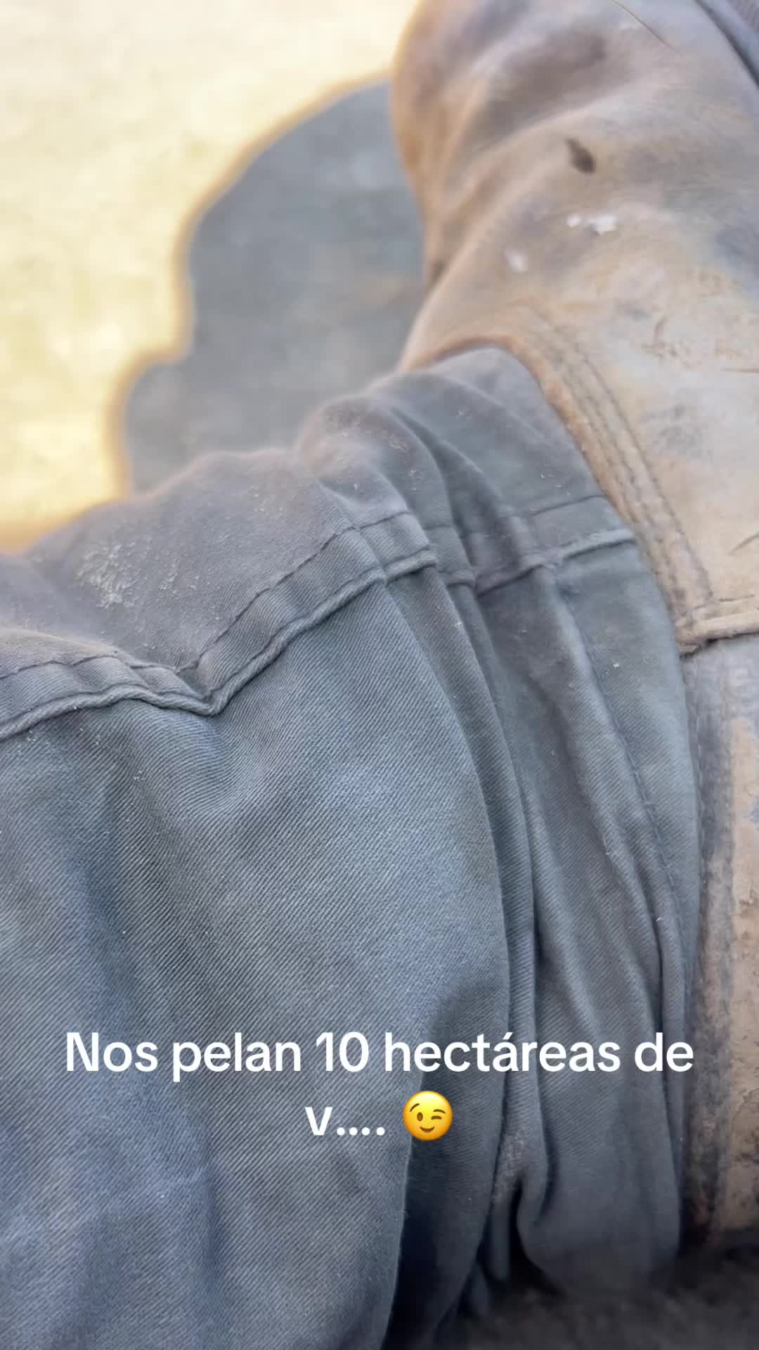 @@pedrochacon349