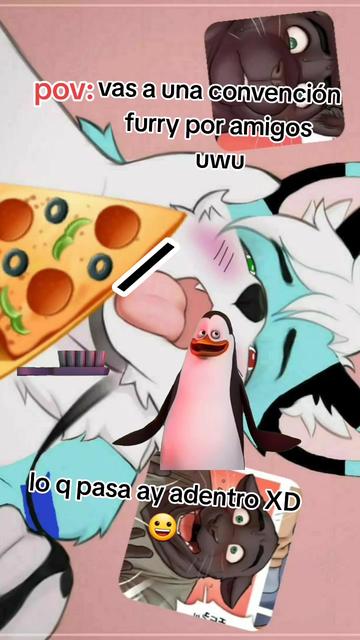 @15fuquiro16