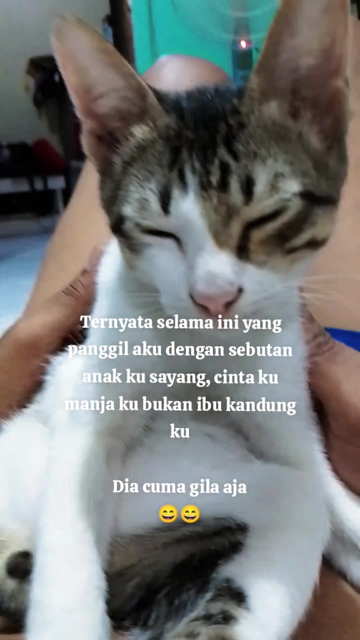 @yesi Indras