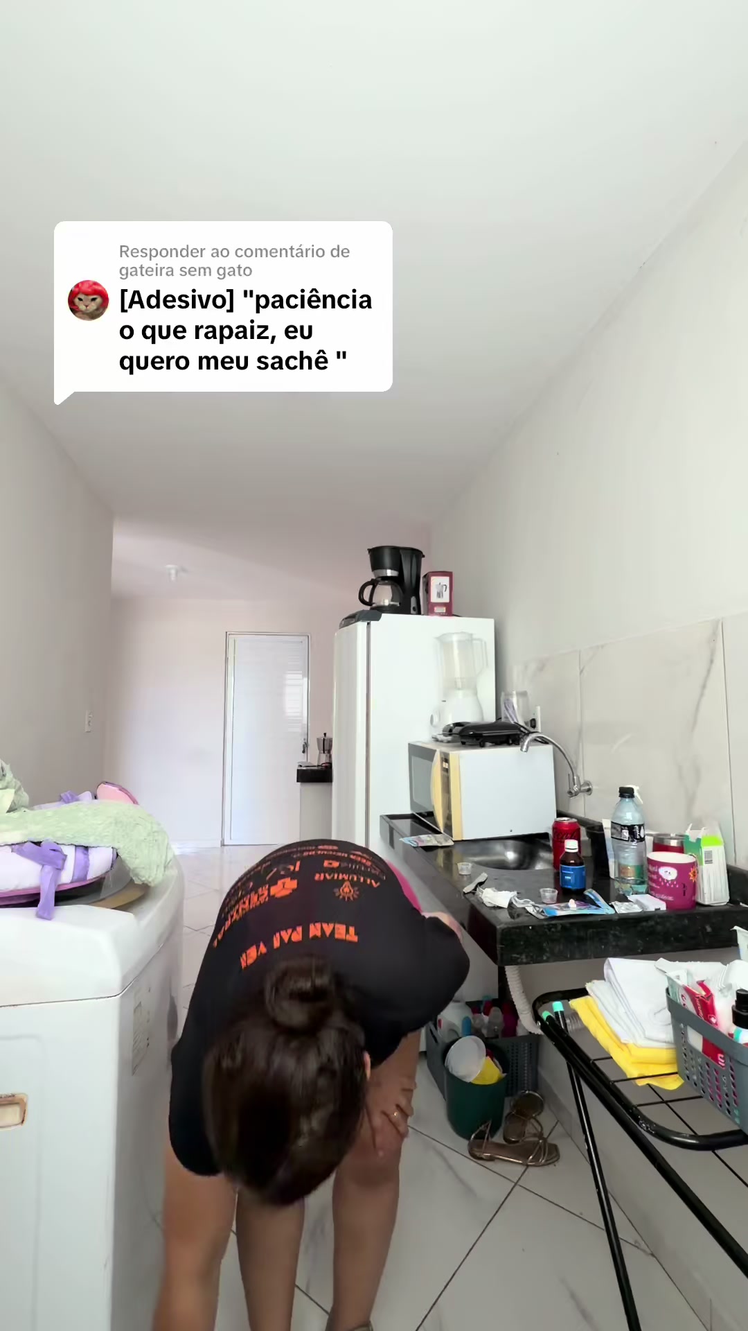 @ogatorenatinho