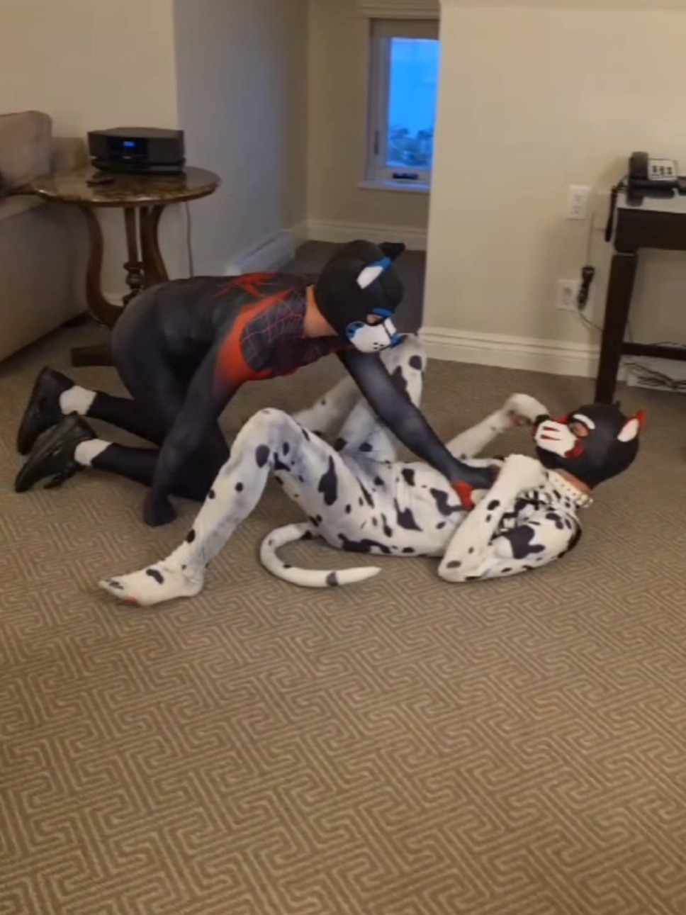 @puptosa