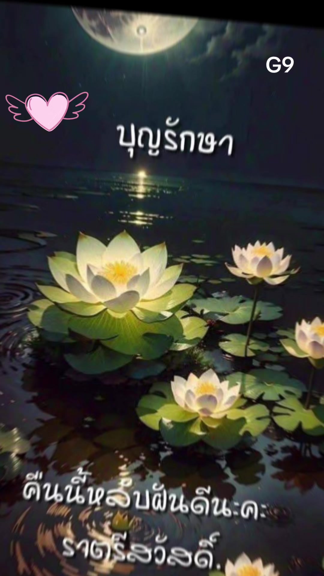 @SengSeurnoy