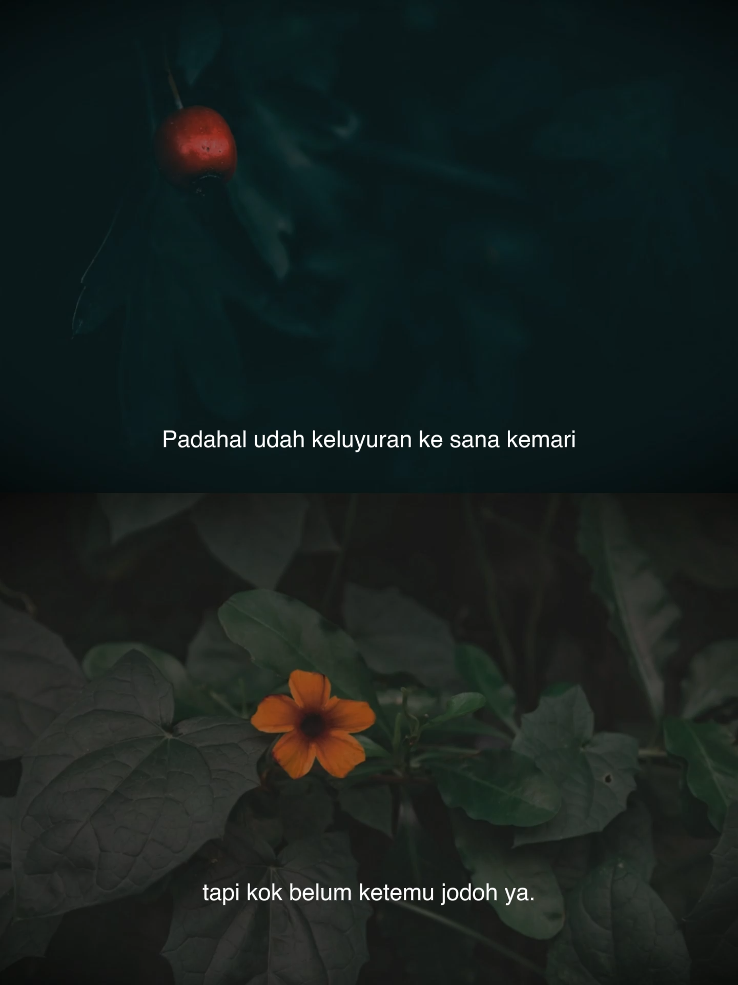 @Yang Terdalam