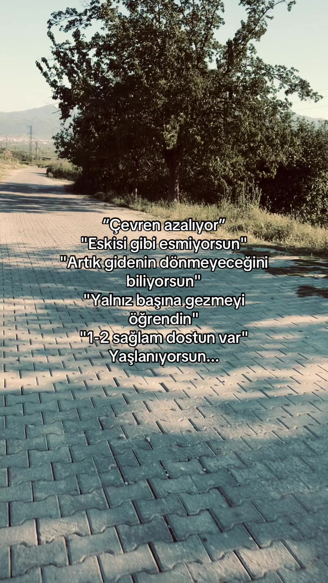@ᴍᴇʜᴍᴇᴛ ᴀʟɪ ᴋᴏ&ccedil; 