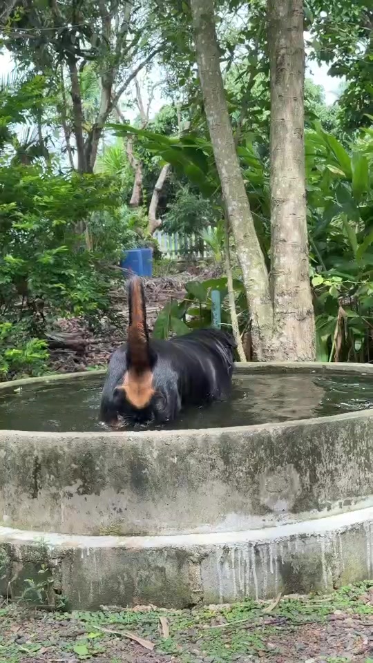 @tonwarit29