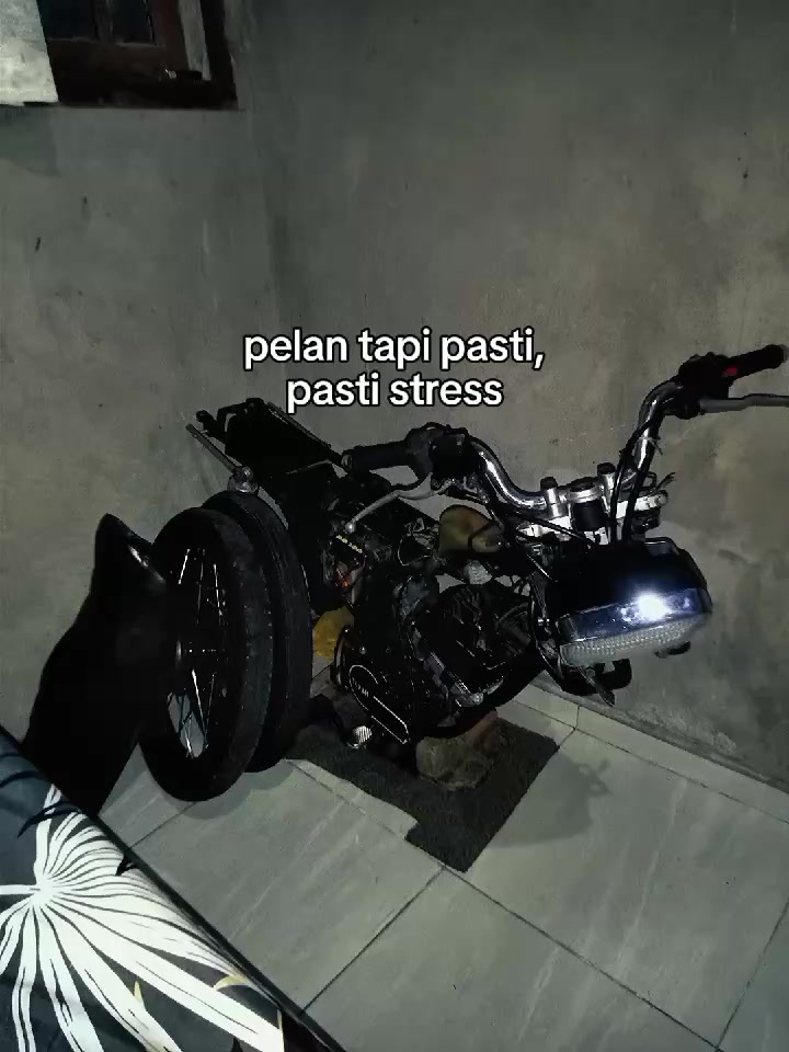 @𝙆𝙞𝙣𝙜_𝙜𝙚𝙖𝙧𝙥𝙞𝙨