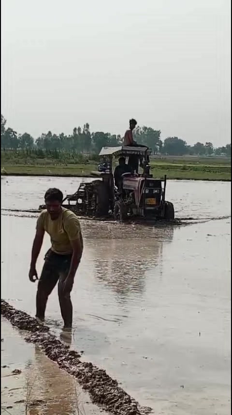 @Tayyab Goraya