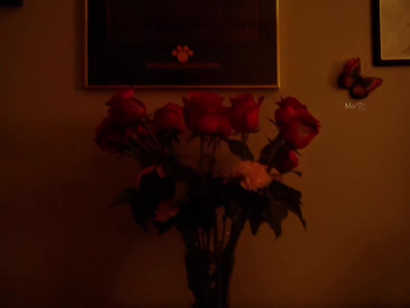 @Mo𓂀