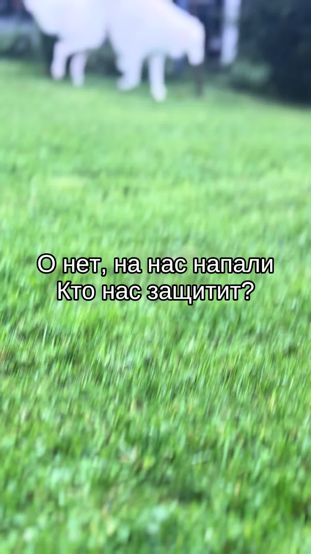 @Кареглазый блондин👁️