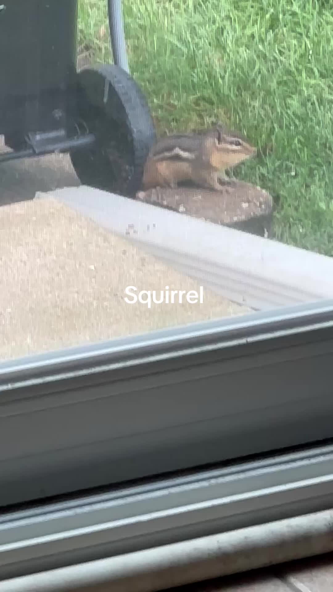 @disneyautismmom