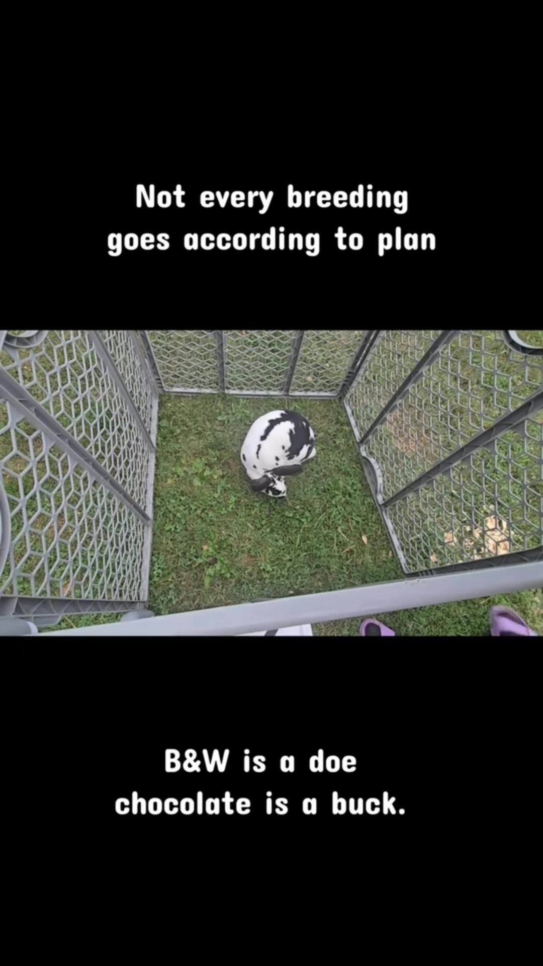@Deathlyhollow