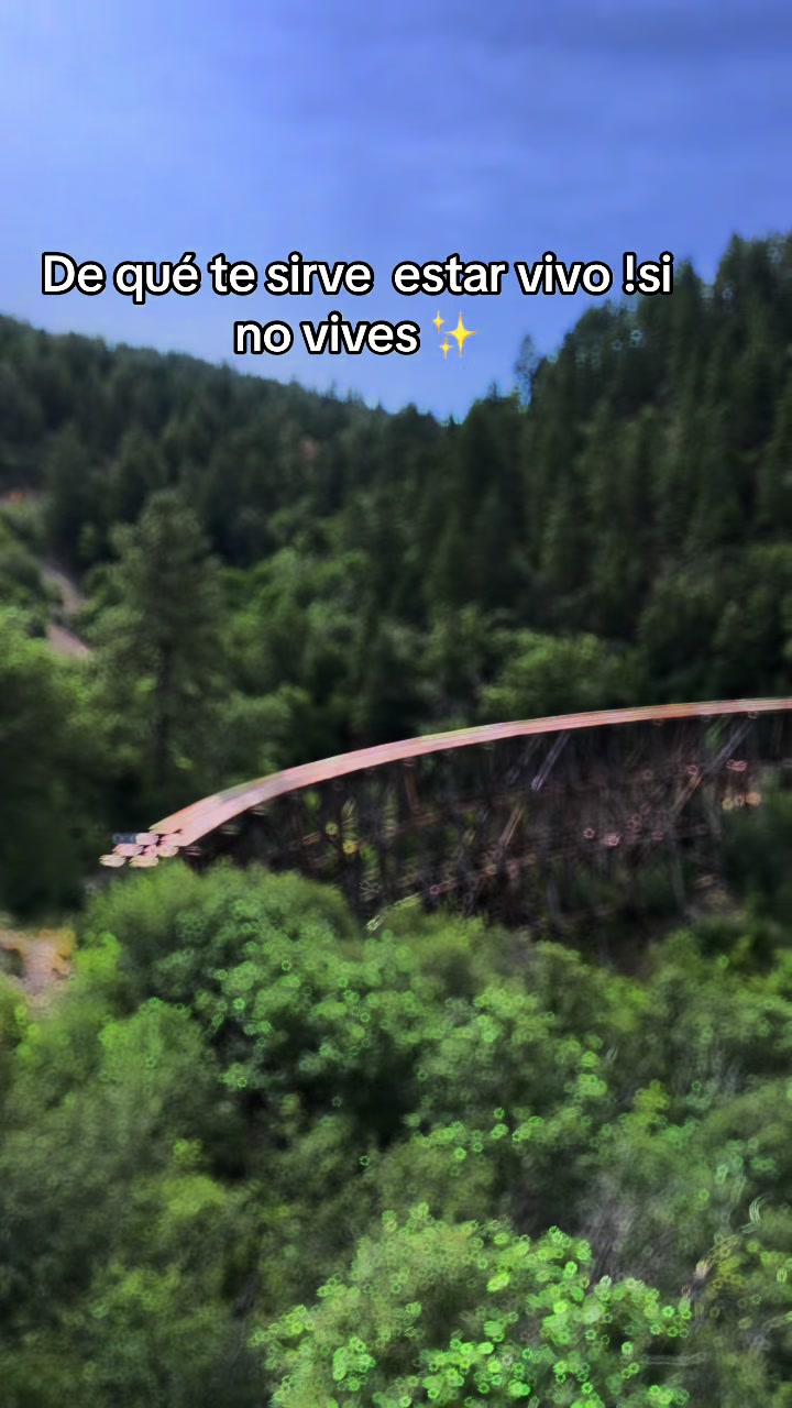 @Lulu Morales