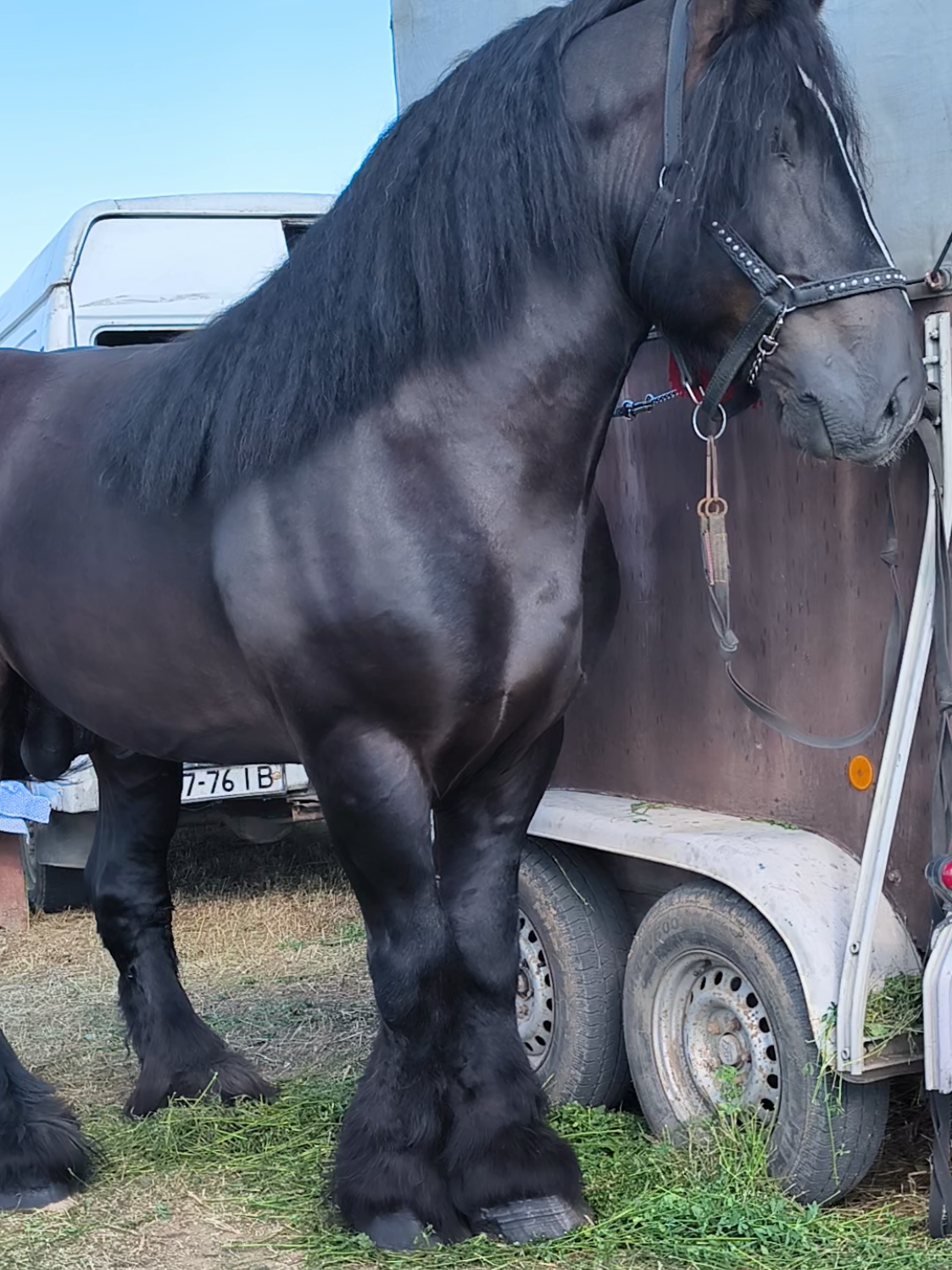 @ВАСЯ БОЙЧУК 🐎