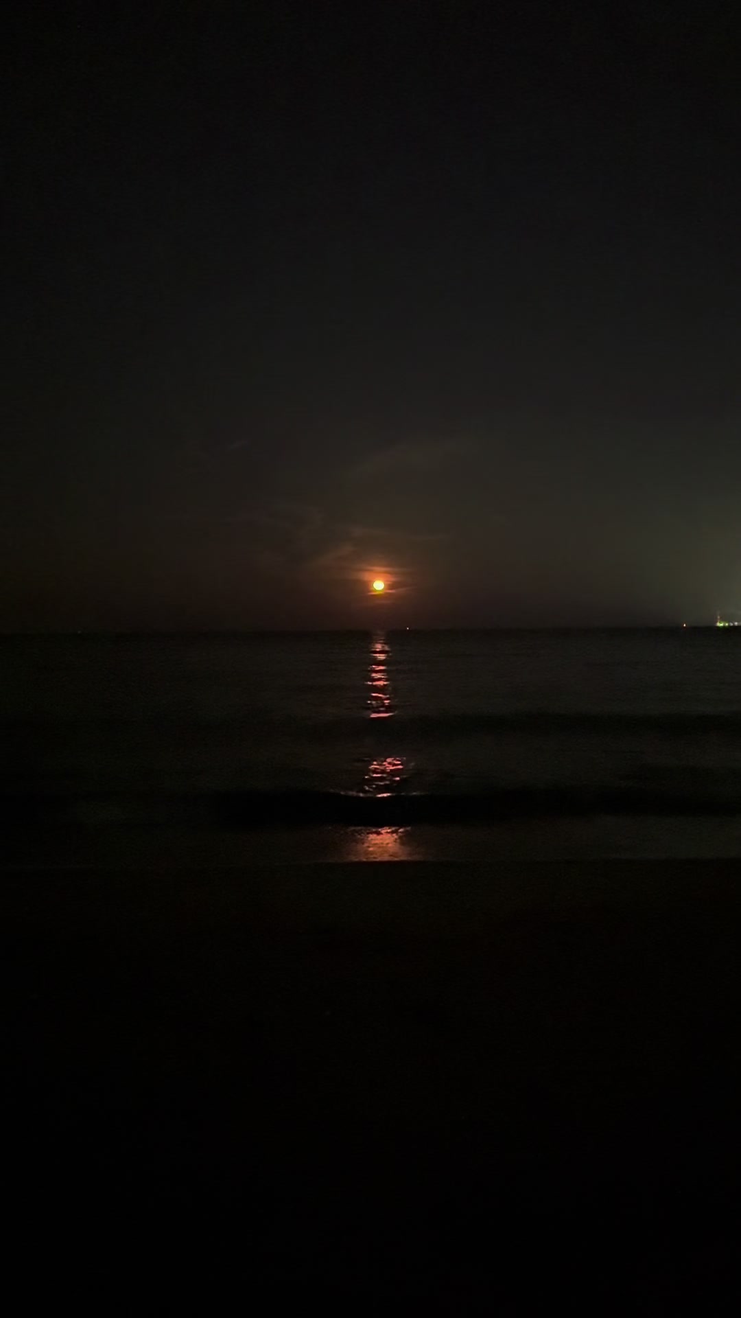 @🌅太郎🌊