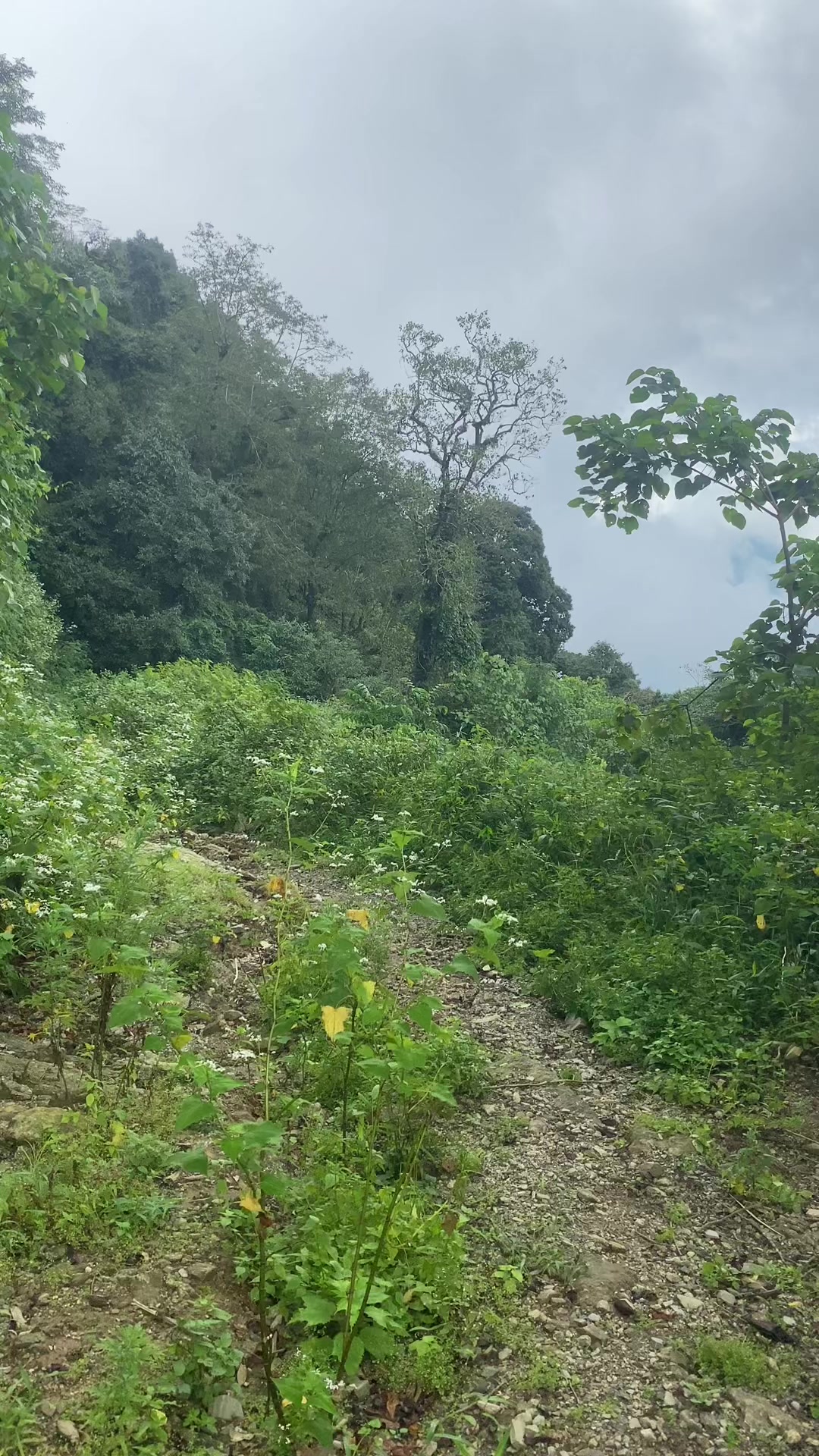 @रुम्बा❣️मुकु❣️🐇🐇
