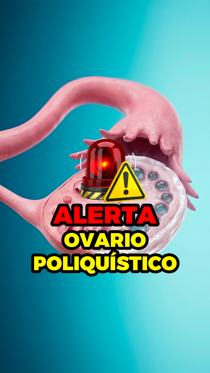 @CEO SALUD