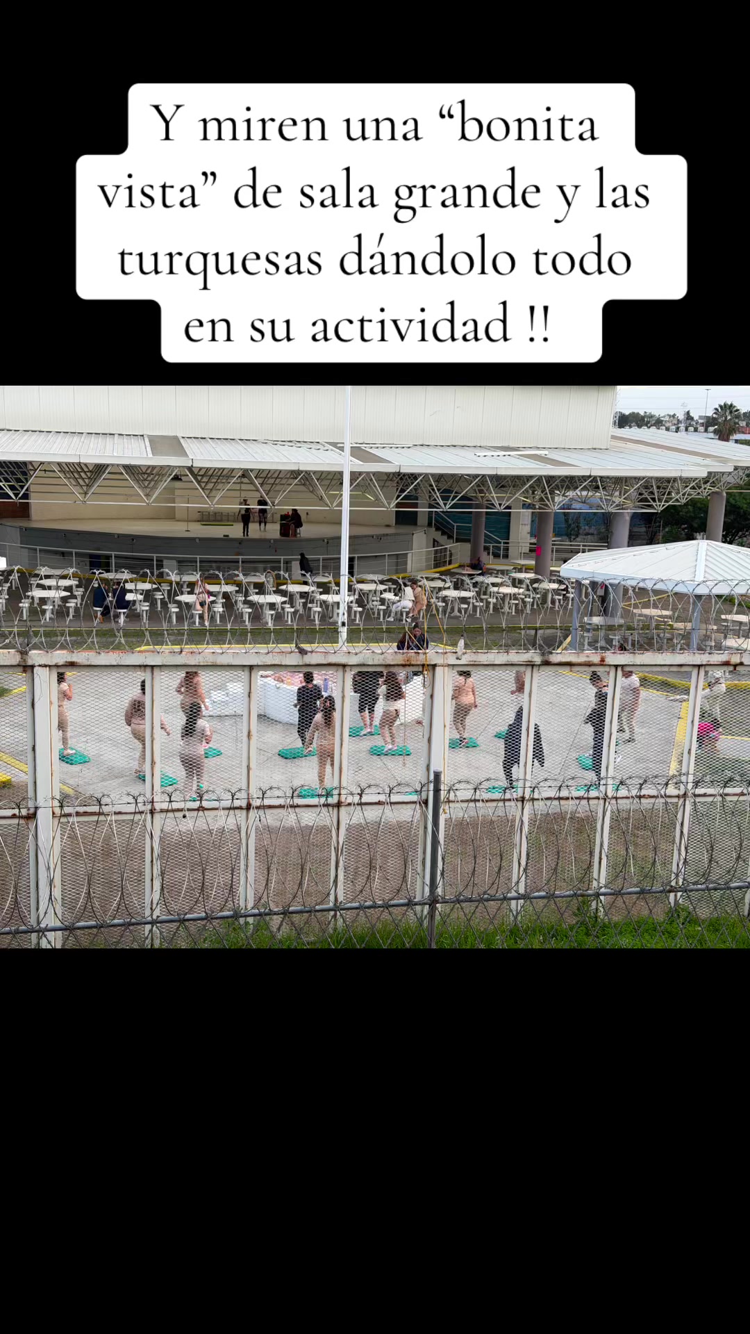 @Reas de turquesa